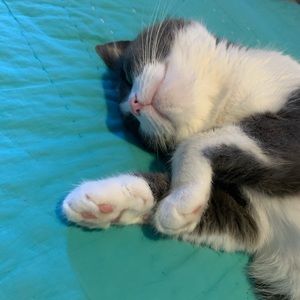 Meet your Posher, Danielle